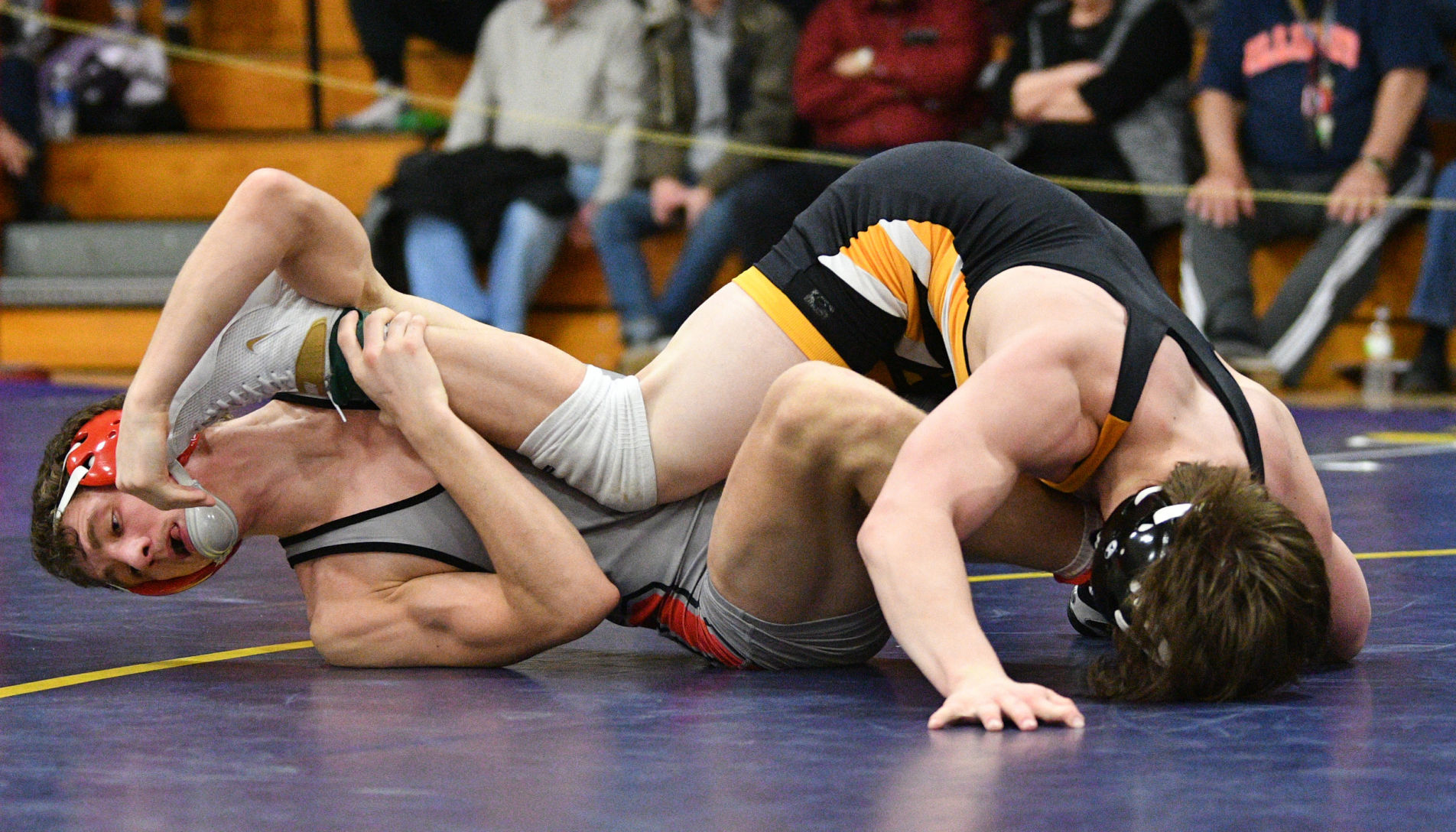 Class 1A Sherrard Wrestling Regional